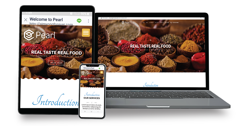 Nine.Elephants.Marketing.Consulting_Programming web development and internet marketing