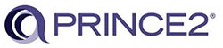 Nine.Elephants.Marketing.Consulting_Princes