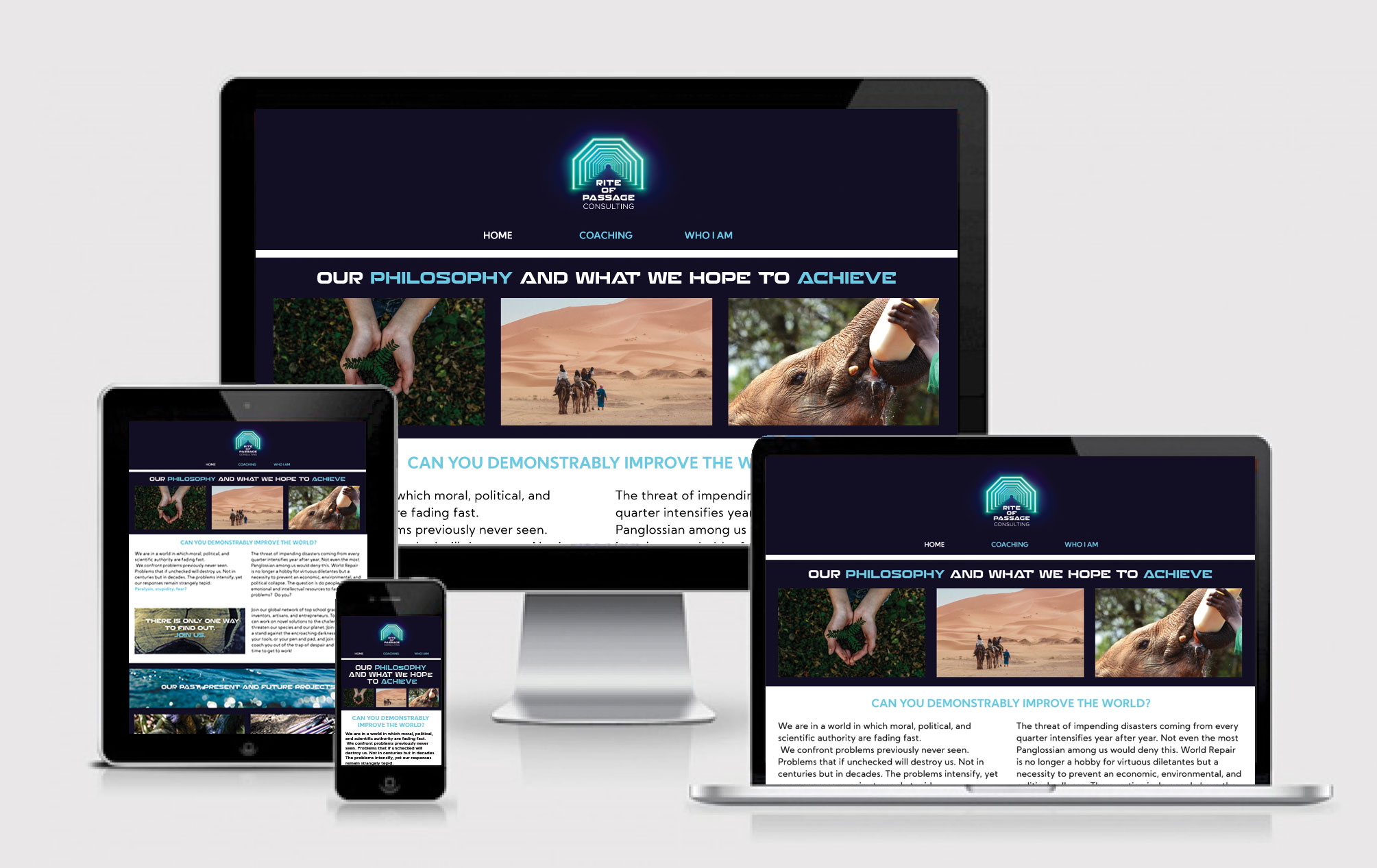 Nine-Elephants-Consulting_Web-Design_EXAMPLE-web-RoP