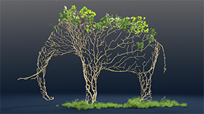 Nine-Elephants-consulting_Elephant-tree Nine-Elephants-Consulting_Home_Diversity-to-Success